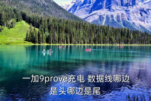 一加手機(jī)的數(shù)據(jù)線