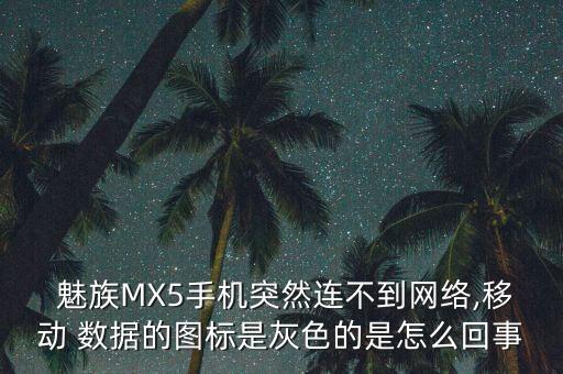  魅族MX5手機(jī)突然連不到網(wǎng)絡(luò),移動(dòng) 數(shù)據(jù)的圖標(biāo)是灰色的是怎么回事
