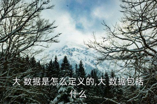 大 數(shù)據(jù)是怎么定義的,大 數(shù)據(jù)包括什么