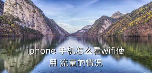 蘋果手機(jī)如何打開數(shù)據(jù)流量監(jiān)控