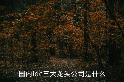 國內(nèi)idc三大龍頭公司是什么