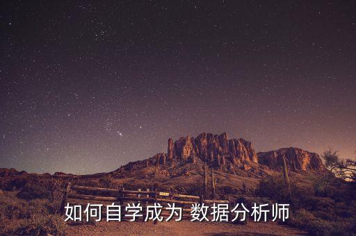 菜鳥數(shù)據(jù)分析從哪方面更容易入門數(shù)據(jù)分析