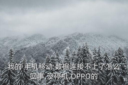 我的 手機移動 數(shù)據(jù)連接不上了怎么回事,沒停機,OPPO的