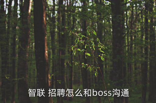 智聯(lián) 招聘怎么和boss溝通