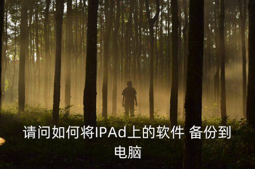 請(qǐng)問(wèn)如何將IPAd上的軟件 備份到電腦