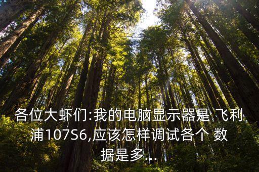 各位大蝦們:我的電腦顯示器是 飛利浦107S6,應該怎樣調試各個 數據是多...