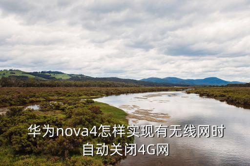  華為nova4怎樣實(shí)現(xiàn)有無線網(wǎng)時(shí)自動(dòng)關(guān)閉4G網(wǎng)