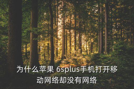 為什么蘋果 6splus手機(jī)打開移動(dòng)網(wǎng)絡(luò)卻沒有網(wǎng)絡(luò)