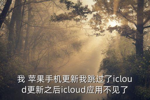 我 蘋果手機(jī)更新我跳過了icloud更新之后icloud應(yīng)用不見了