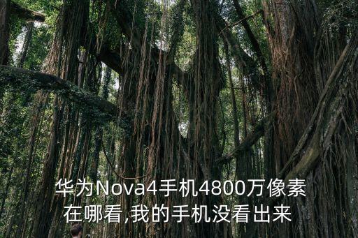  華為Nova4手機4800萬像素在哪看,我的手機沒看出來