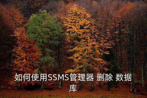 如何使用SSMS管理器 刪除 數據庫