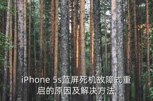 iPhone 5s藍屏死機故障式重啟的原因及解決方法
