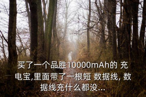 買了一個(gè)品勝10000mAh的 充電寶,里面帶了一根短 數(shù)據(jù)線, 數(shù)據(jù)線充什么都沒...