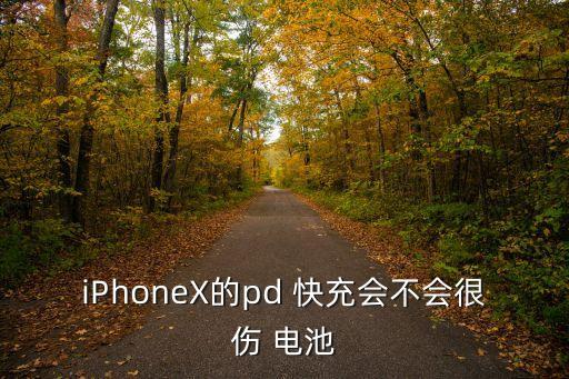 快充的數(shù)據(jù)線對電池有損害嗎