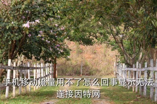 移動數(shù)據(jù)不好用為什么
