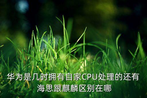 華為是幾時(shí)擁有自家CPU處理的還有 海思跟麒麟?yún)^(qū)別在哪