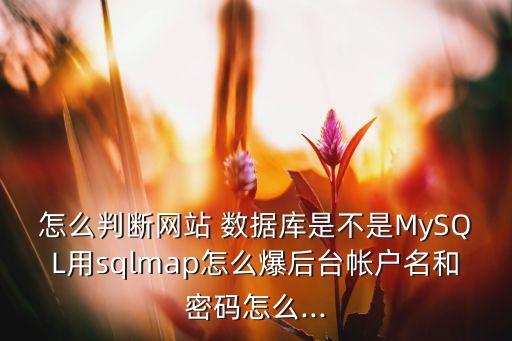 爆數(shù)據(jù)庫(kù),SQL數(shù)據(jù)庫(kù)