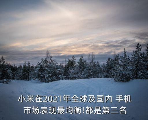  小米在2021年全球及國內(nèi) 手機 市場表現(xiàn)最均衡!都是第三名