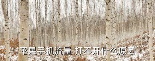 蘋果手機(jī)流量 打不開什么原因