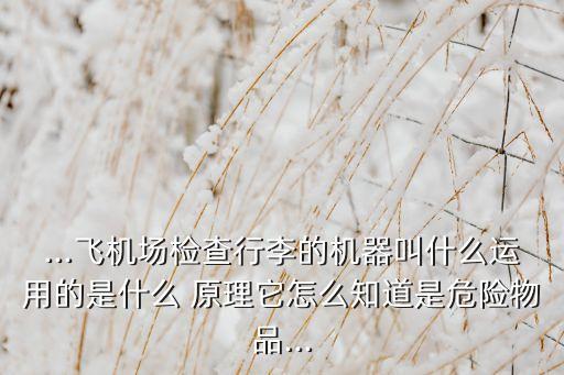 ...飛機場檢查行李的機器叫什么運用的是什么 原理它怎么知道是危險物品...