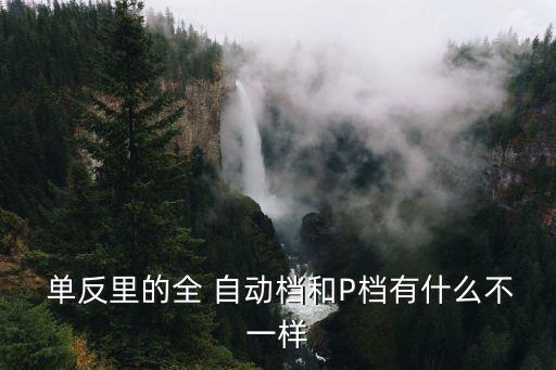 自動(dòng)單反,單反自動(dòng)iso好不好