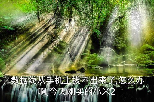  數(shù)據(jù)線從手機(jī)上拔不出來了,怎么辦啊,今天剛買的小米2