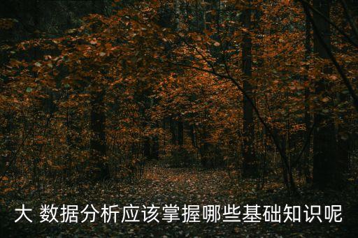 大 數據分析應該掌握哪些基礎知識呢