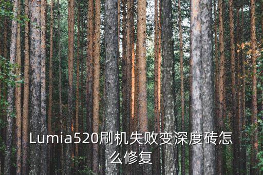 Lumia520刷機失敗變深度磚怎么修復(fù)