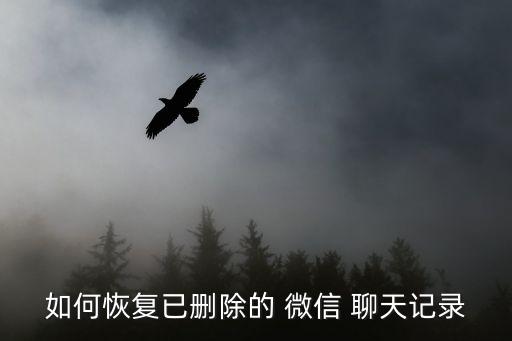如何恢復(fù)已刪除的 微信 聊天記錄