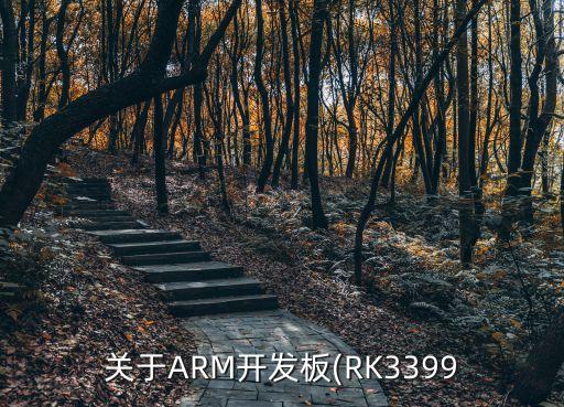 emmc數(shù)據(jù)怎么查看