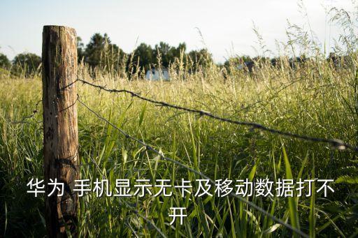  華為 手機(jī)顯示無卡及移動數(shù)據(jù)打不開