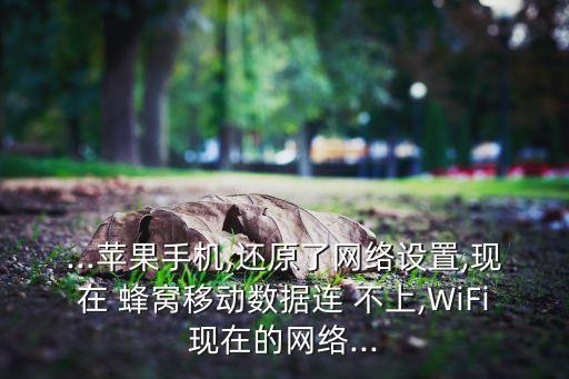 ...蘋(píng)果手機(jī),還原了網(wǎng)絡(luò)設(shè)置,現(xiàn)在 蜂窩移動(dòng)數(shù)據(jù)連 不上,WiFi現(xiàn)在的網(wǎng)絡(luò)...