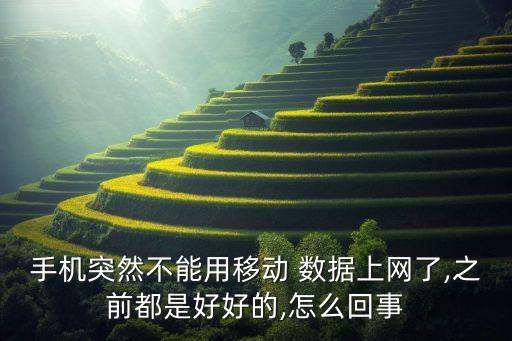 手機(jī)突然不能用移動 數(shù)據(jù)上網(wǎng)了,之前都是好好的,怎么回事
