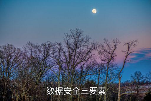 網(wǎng)絡(luò)信息安全 網(wǎng)絡(luò)間諜 數(shù)據(jù),數(shù)據(jù)什么是網(wǎng)絡(luò)與信息安全的重中之重