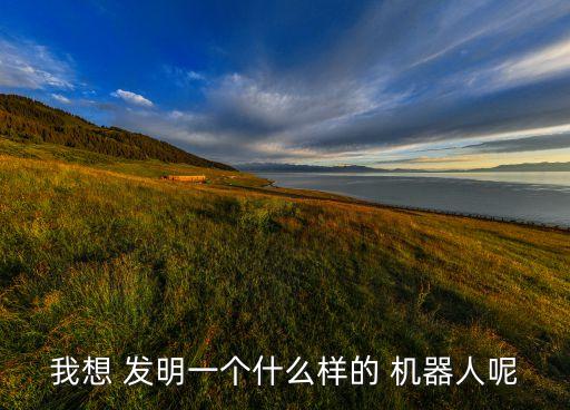 我想 發(fā)明一個什么樣的 機器人呢