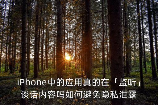 iPhone中的應(yīng)用真的在「監(jiān)聽」談話內(nèi)容嗎如何避免隱私泄露
