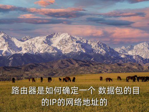 路由器數(shù)據(jù)包分析,簡(jiǎn)述路由器轉(zhuǎn)發(fā)數(shù)據(jù)包的過程