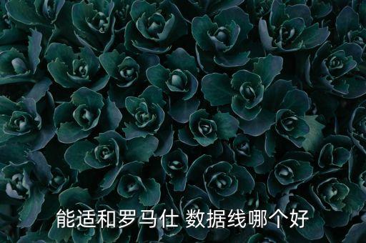 plsen平板電腦數(shù)據(jù)線