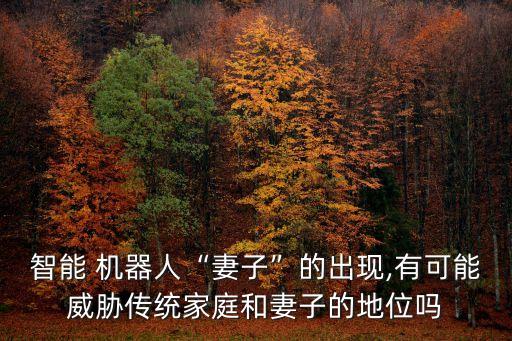 智能 機(jī)器人“妻子”的出現(xiàn),有可能威脅傳統(tǒng)家庭和妻子的地位嗎