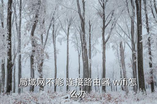 局域網(wǎng)不能 連接路由器 wifi怎么辦