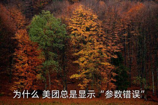 為什么 美團(tuán)總是顯示“參數(shù)錯誤”