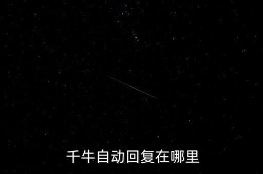  千牛自動(dòng)回復(fù)在哪里
