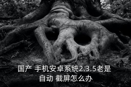 國產(chǎn) 手機(jī)安卓系統(tǒng)2.3.5老是 自動(dòng) 截屏怎么辦