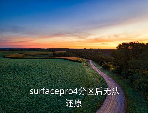 surface數(shù)據(jù)恢復(fù)