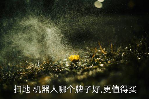  掃地 機(jī)器人哪個(gè)牌子好,更值得買(mǎi)