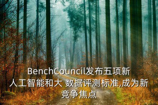 cncc大數(shù)據(jù)