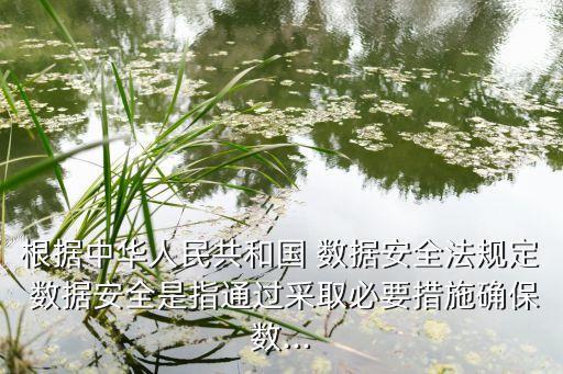 數(shù)據(jù)安全是什么,網(wǎng)絡(luò)數(shù)據(jù)安全是什么