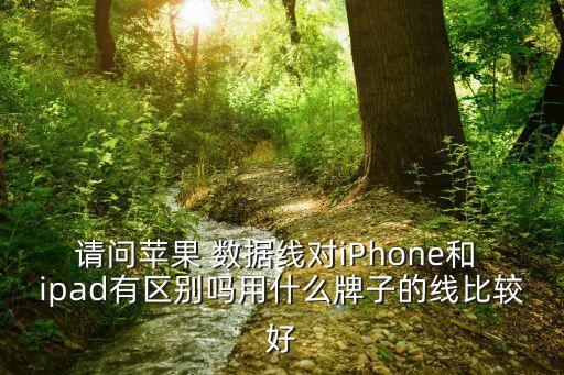 請(qǐng)問蘋果 數(shù)據(jù)線對(duì)iPhone和 ipad有區(qū)別嗎用什么牌子的線比較好