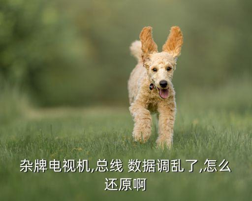 雜牌電視機(jī),總線 數(shù)據(jù)調(diào)亂了,怎么還原啊