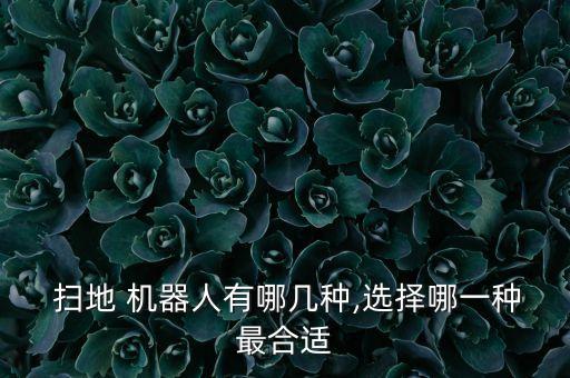  掃地 機器人有哪幾種,選擇哪一種最合適